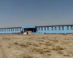 در مکاتب و انستیتیوت های تخنیکی و مسلکی ۱۵ ولایت هیچ استاد زن وجود ندارد